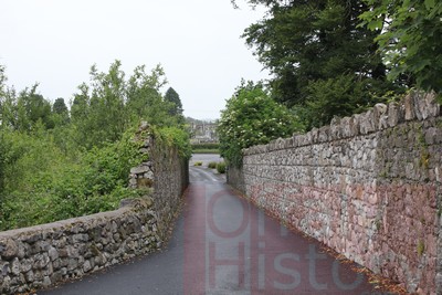 2012_07_01 Kilbeggan 077