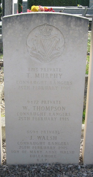 Guise C C, Murphy T, Thompson W, Walsh J