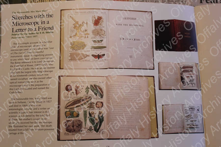 Sketches with the microscipe