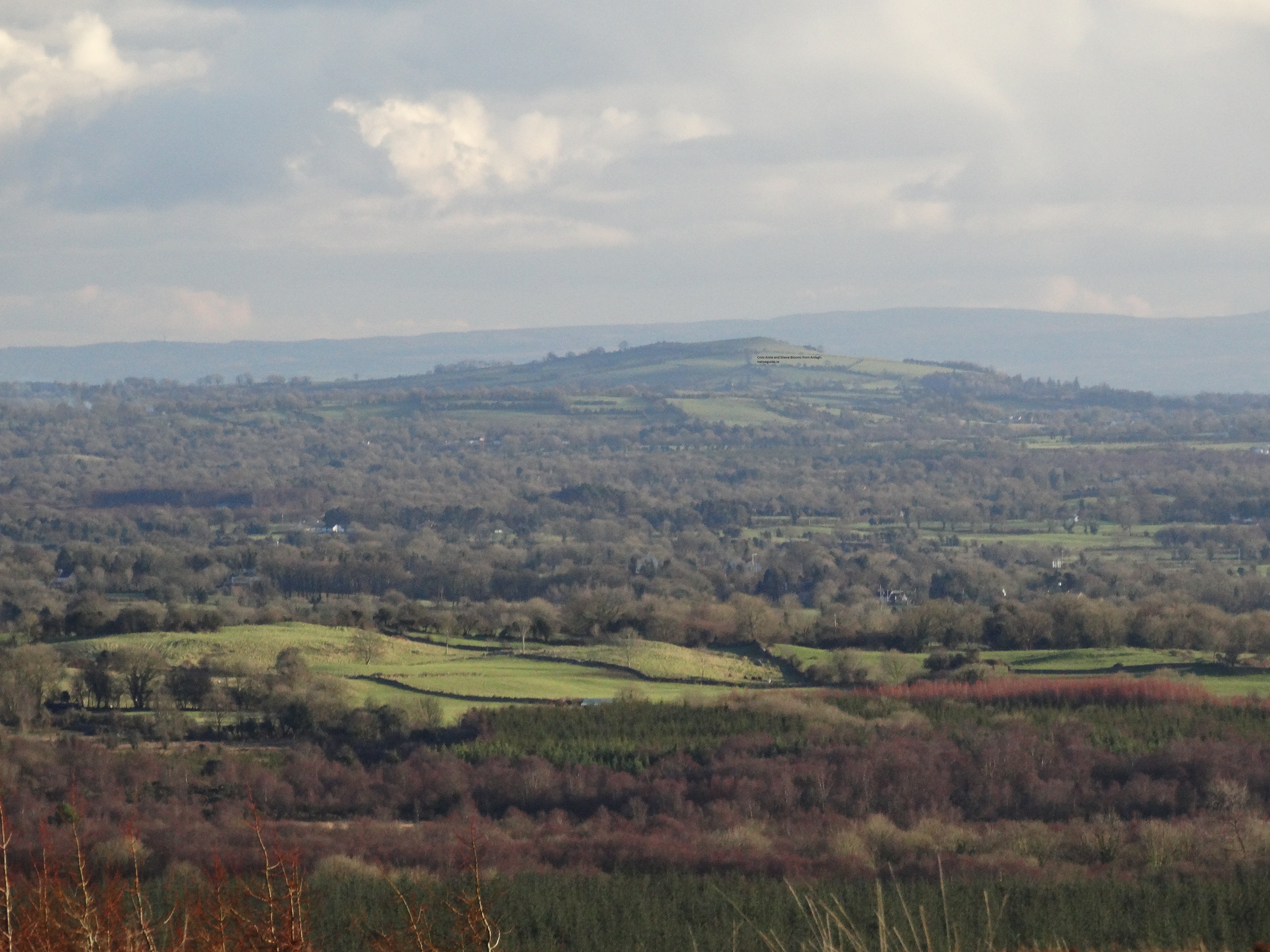 Image 1. Cnoc Aiste nativeguide.ie