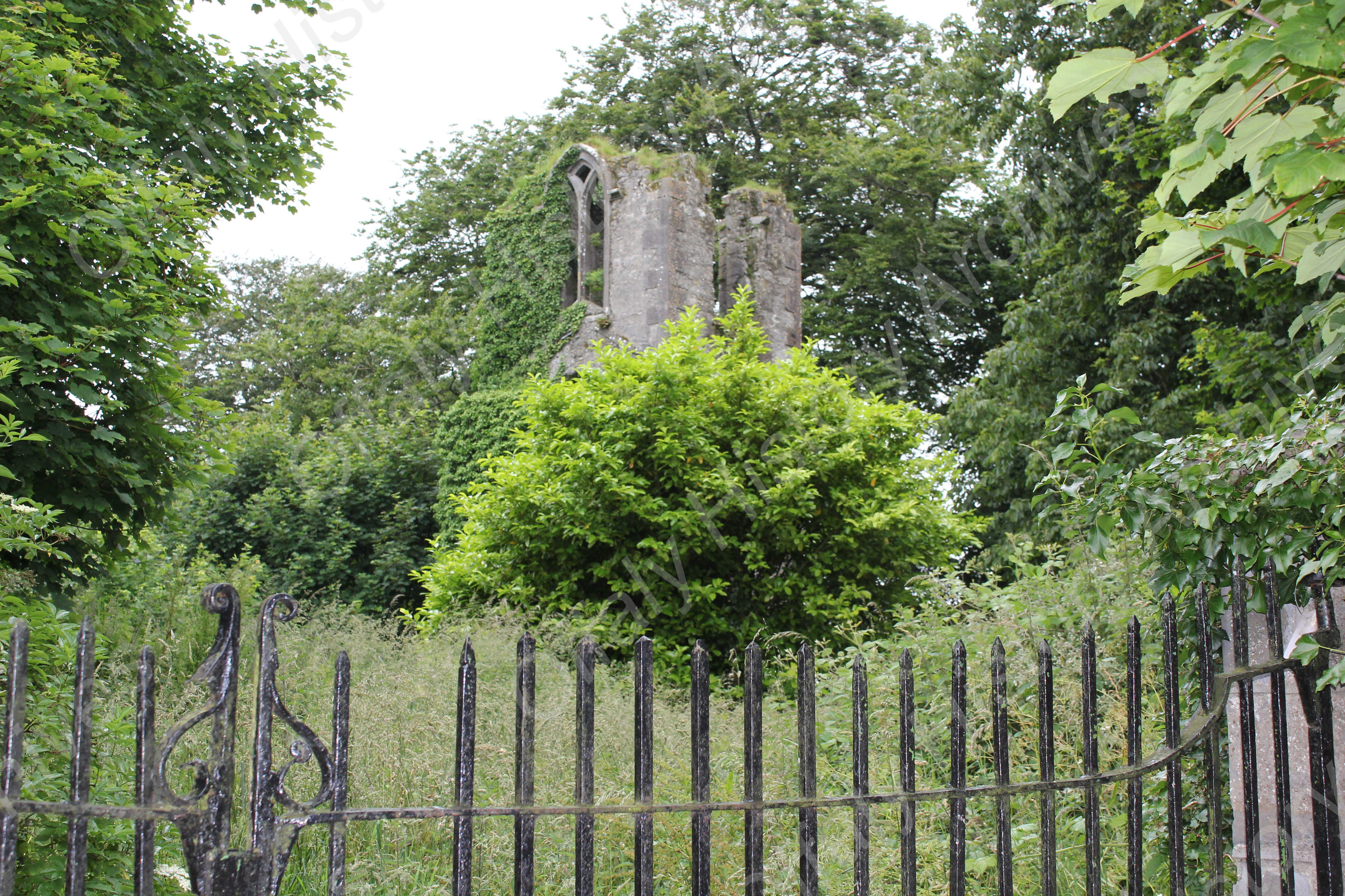 2012_07_01 Kilbeggan 073