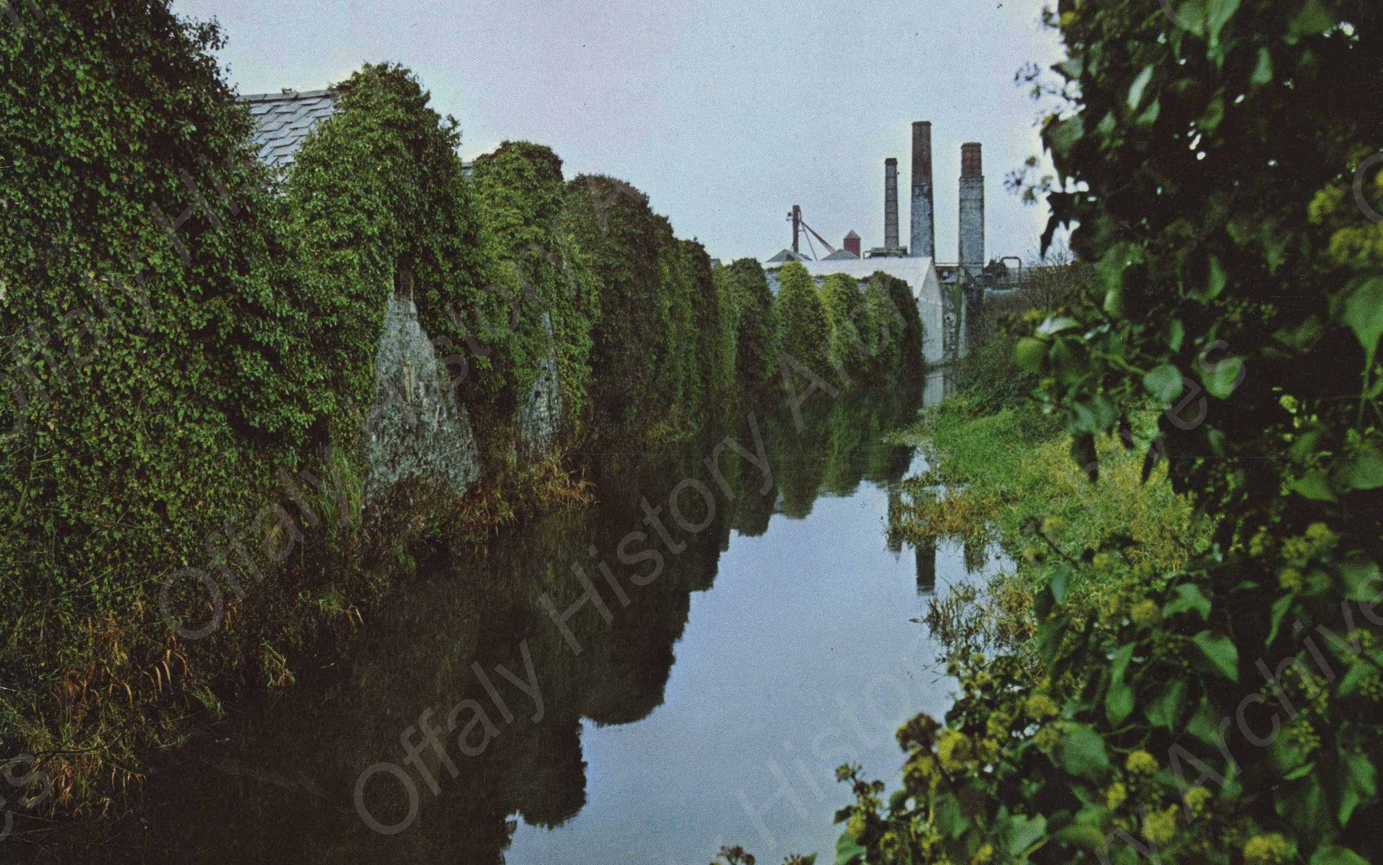 064645a Williams Group - Tullamore (JPeg)