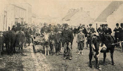 021 Banagher Fair, 1904