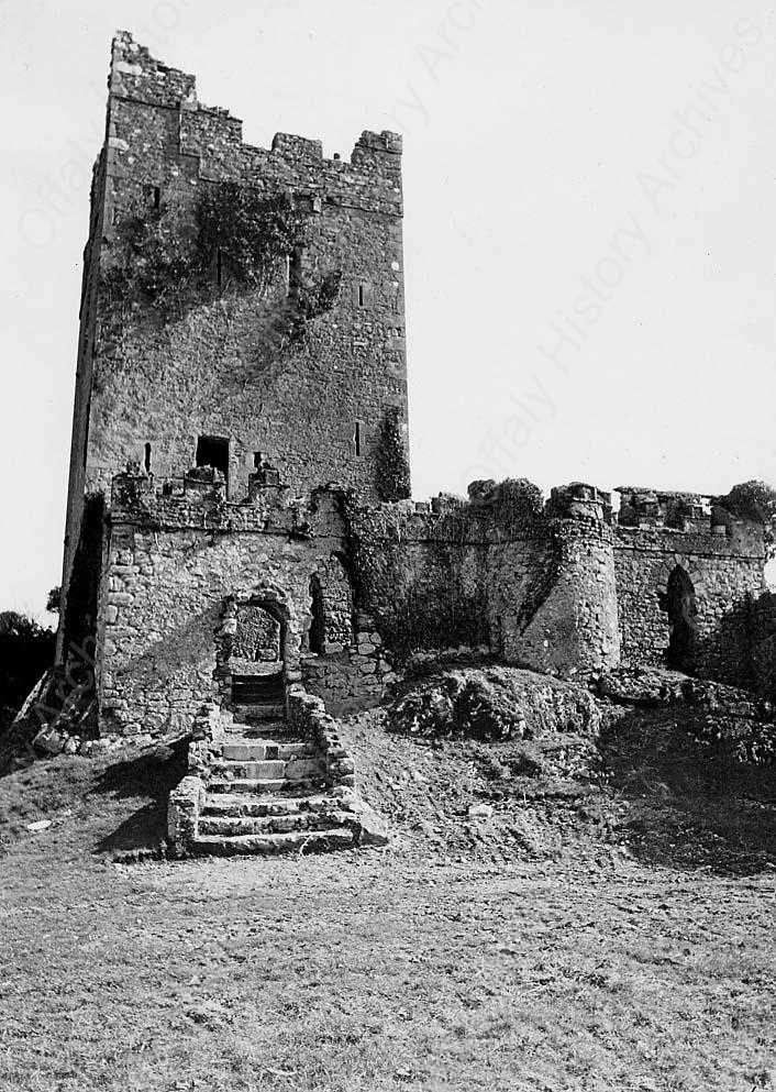 051809 Clonony Castle 02