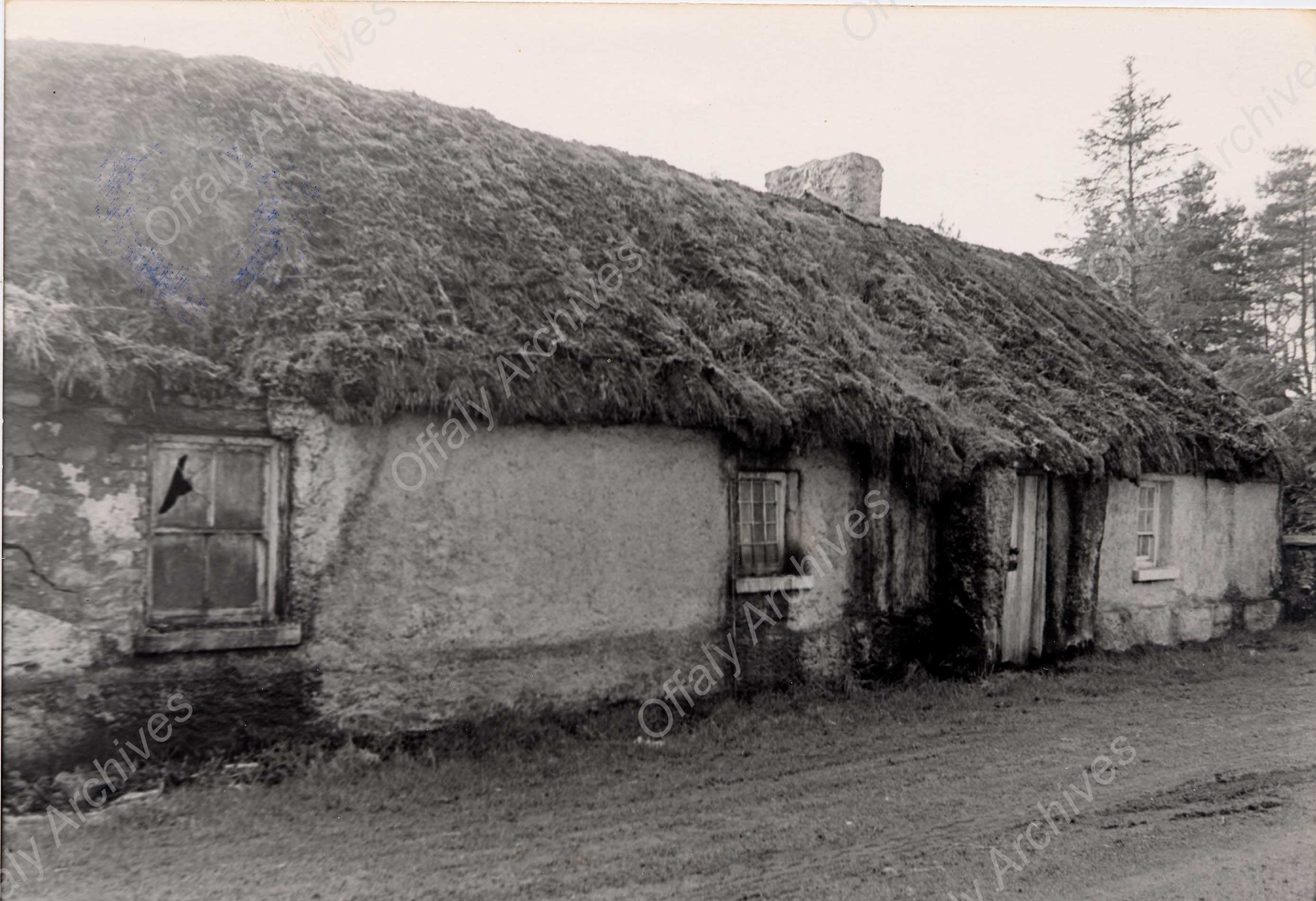 006 Ballinagar 1984, McLoughlin