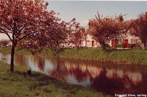 Convent View, spring