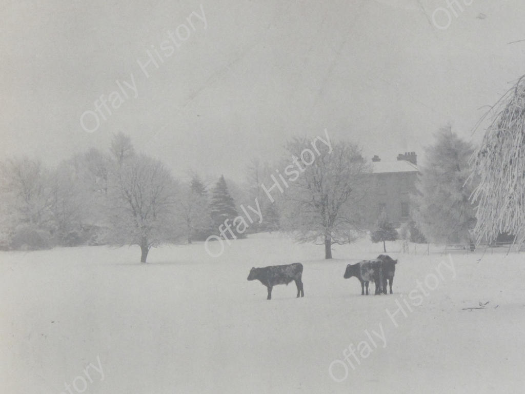 Rear view of Drayton Villa - winter scene 1890s (courtesy Harry St. John)