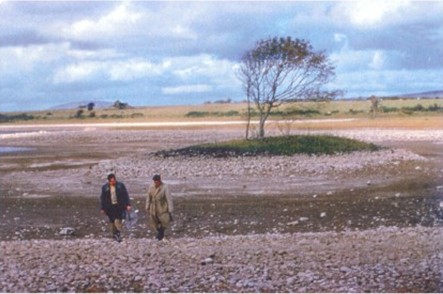 Dried out lake with crannog, Lough Gara, Co. Roscommon