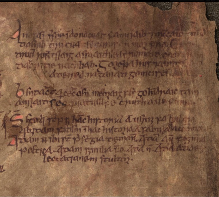 A page of the Táin Bó Cuiligne from the Book of Leinster